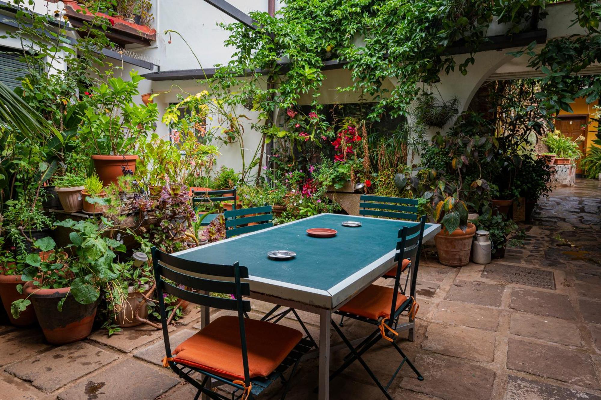 La Asomada Del Gato Guest House Ла Лагуна Екстериор снимка